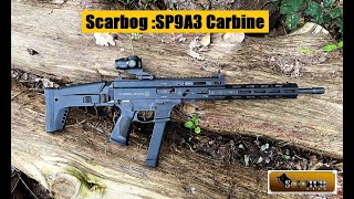 Stribog SP9A3 G 9mm Carbine Review [upl. by Macomber]