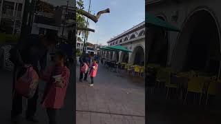 plaza de Chapala Jalisco México [upl. by Garey339]