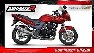 Kawasaki ZR7S  Dominator Exhaust Sound [upl. by Nosiaj]