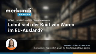 19 Lohnt sich der Kauf von Waren im EUAusland [upl. by Anialed803]