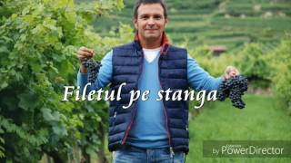 Daniel Buzdugan  Farsă  Filetul pe stânga [upl. by Ladnor]