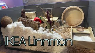 IKEA Linnmon Cage Set Up  Evelyns Critters [upl. by Iturk]