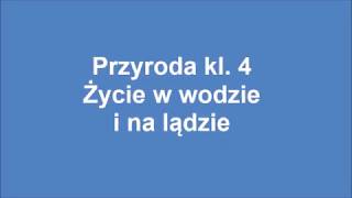 kl 4 życie w wodzie i na lądzie [upl. by Tnarb566]