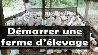 Voici 8 Etapes pour commencer une entreprise d’élevage de poulet à succès en Afrique [upl. by Anneliese]