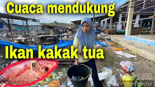 ADA IKAN KAKAK TUA⁉️ ADA YG MASANG SAJEN [upl. by Tilney]