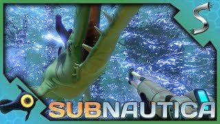 PROPULSION CANNON amp STASIS RIFLE HOW TO KILL STALKERS amp STALKER TEETH  Subnautica Gameplay E6 [upl. by Yenrab]