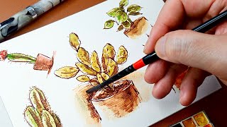 만년필로 간단히 쉽게 선인장 그림그리기  fountain pen drawing  watercolor painting  botanical art [upl. by Aiveneg]