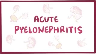 Acute pyelonephritis urinary tract infection  causes symptoms amp pathology [upl. by Akinal]