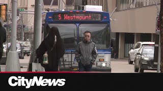 Edmonton Transit recorded a recordbreaking ridership in October [upl. by Zulaledairam]