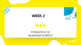 Week 2  CHAPTER3 FORMATION OF BILAMINAR EMBRYO [upl. by Ahsiekyt]