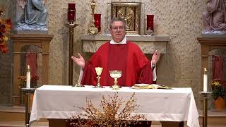 Daily Catholic Mass  November 12 2024 [upl. by Tirrej538]