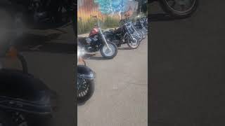 Watch a Motorcycle Drive By at DAM Show in Detroit youtubeshorts video motorcycle rider art [upl. by Tarra]