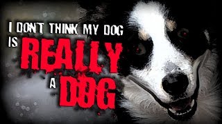 quotI Dont Think My Dog is Really a Dogquot  Creepypasta [upl. by Aehsa]