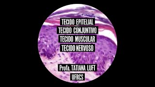 Tecido Epitelial de Revestimento [upl. by Farley]