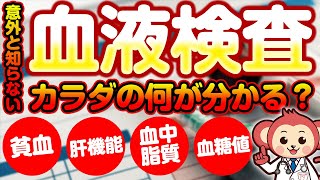 【意外と知らない】血液検査で分かることを現役看護師が解説！前編【医師が監修しています】 [upl. by Cynarra340]