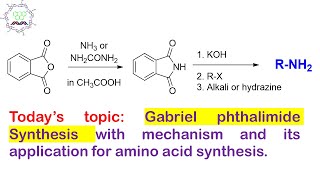 Gabriel phthalimide Reaction Selective preparation of Primary Amine [upl. by Ainezey]