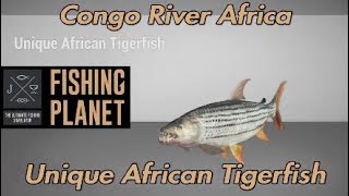 Fishing Planet  Unique African Tigerfish  Congo River Africa [upl. by Townsend]