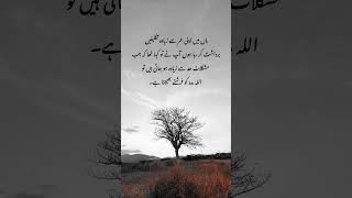 Allah quotes hazrataliquote urdu hazrataliquotes poetry hazratalisaying youtubeshorts [upl. by Etteluap]