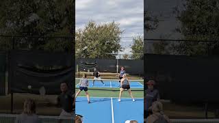 Perfect Partner Celebrating Stellar Team Play in Pickleball 🌟 PerfectPartner [upl. by Weinstein917]