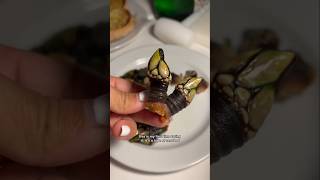 First time trying gooseneck barnacles percebes seafood [upl. by Aeiram]