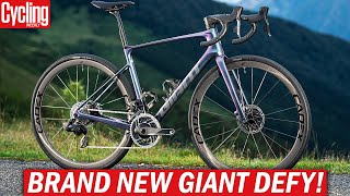 NEW 2024 Giant Defy  One Of The Last True Endurance Road Bikes [upl. by Krahling]