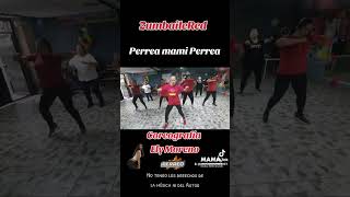 Perrea mami Perrea ZumbaileRed [upl. by Ollecram]