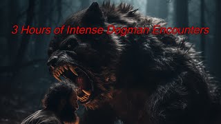 3 Hours of Intense Dogman Encounters [upl. by Ahsikym]