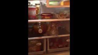 Samsung french door refrigerator review [upl. by Vanny]