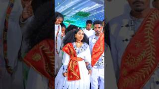 Wedding culture tigrignamusic2024 ethioforum weddingceremony habesha abelbirhanu eritreanmusic [upl. by Zilevi]