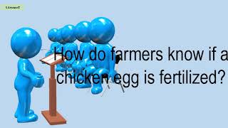 How Do Farmers Know If A Chicken Egg Is Fertilized [upl. by Aderb36]