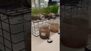 the best soil erosion experiment [upl. by Erusaert]