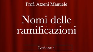 Nomenclatura alcani  nomi delle ramificazioni L4 ProfAtzeni ISCRIVITI [upl. by Devondra]