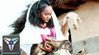 Rahel Okbagaber  Begiey Official Video  New Eritrean Music 2016 [upl. by Yspyg]