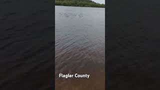 Flagler county [upl. by Nylde]