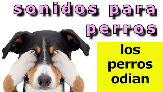 Sonidos Para Perros 🐶 5 Sonidos que los Perros ODIAN 🐶 [upl. by Nibroc]