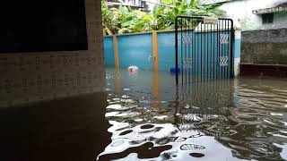 Palakkad Flood ¦ water in Home ¦ Kanjikode ¦ Kerala Rain [upl. by Rhetta767]