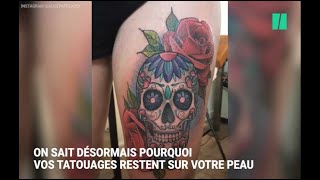 Pourquoi vos tatouages ne disparaissent pas [upl. by Lecirg518]