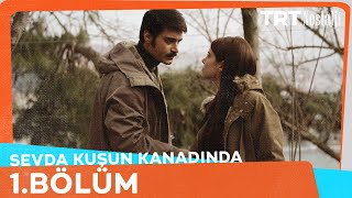 Sevda Kuşun Kanadında 1Bölüm NostaljiTRT [upl. by Vivyanne287]