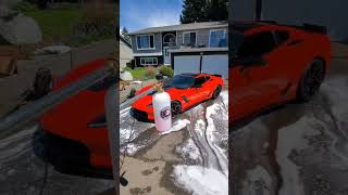 Fastest Way to Wash Your Car FOAM CANNON [upl. by Alekal]