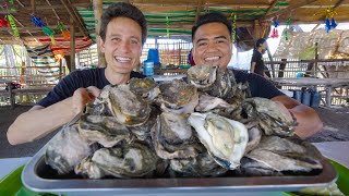 Philippines OYSTER MOUNTAIN Best Filipino Food  Fresh Eels in Cebu [upl. by Eenitsed330]