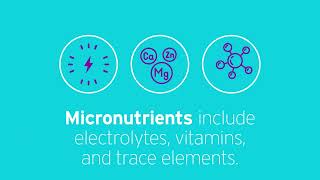 What is parenteral nutrition made of [upl. by Ttenyl]