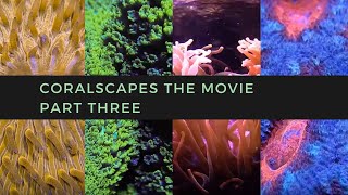 Coralscapes the Movie  Part Three [upl. by Aeneas223]