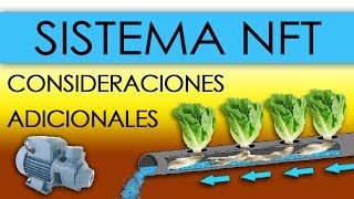 HIDROPONÍA  SISTEMA NFT EN LECHUGAS Nutrient Film Technique [upl. by Perrins727]