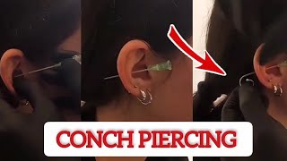 How to do a CONCH PIERCING piercing dont do it at home [upl. by Shulins]