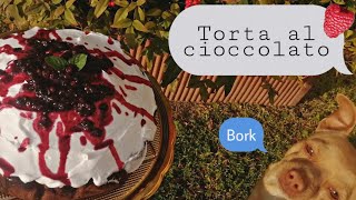 Torta al cioccolato con frutti rossi  Ricetta magica  Kitchen Witch [upl. by Glenn]