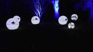 Light Up Hillier Gardens 2023 osprey 1080p [upl. by Aiciram]