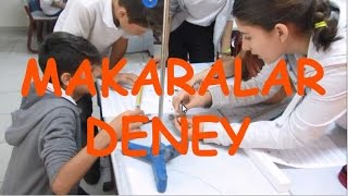 MAKARALAR deney tartışma ve açıklama [upl. by Rosario770]