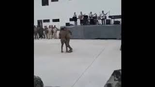 Militares bailando chistosos [upl. by Hawley]