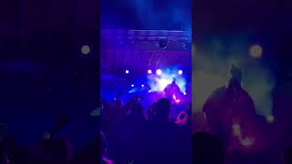 Large jams with SunSquabi at firelightsfestival  musicfestival funky jamband [upl. by Yenettirb]