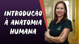 Introdução à Anatomia Humana  Brasil Escola [upl. by Kcirredal262]